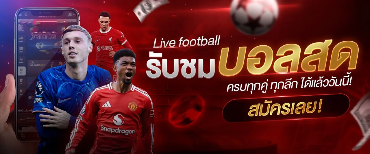บาคาร่าสดดีลเลอร์มืออาชีพถ่ายทอดสดบน Tgabet
